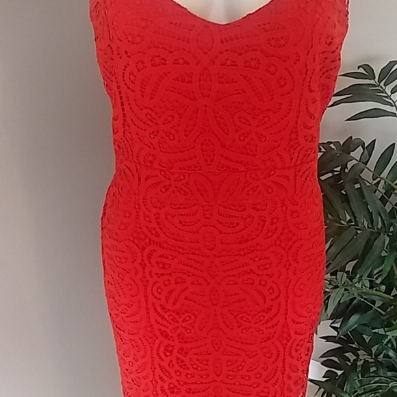 {Bisou Bisou} Lace Dress - Picture 6 of 7